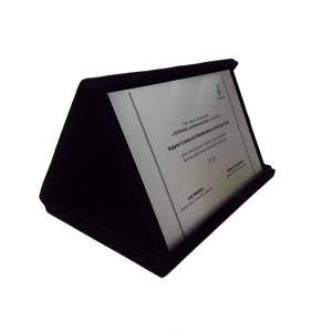 Placa de Homenagem Especial-PL01