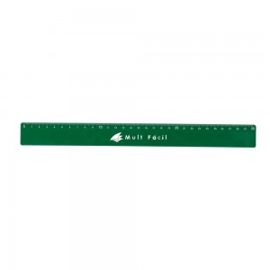 Régua Plástica 30cm -X13763
